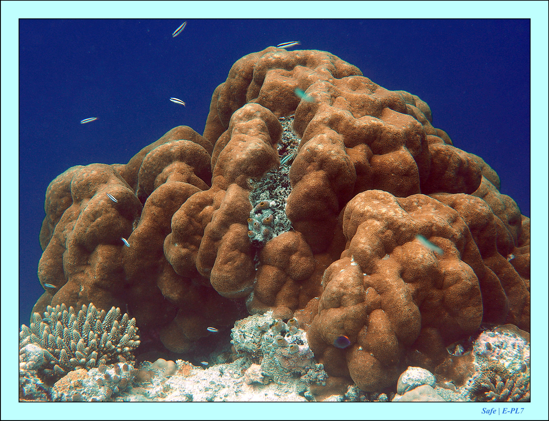 2023 - 07 - Sandies Bathala - 217